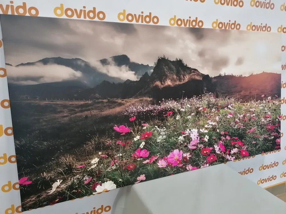 Quadro su tela – Prato di fiori in fiore