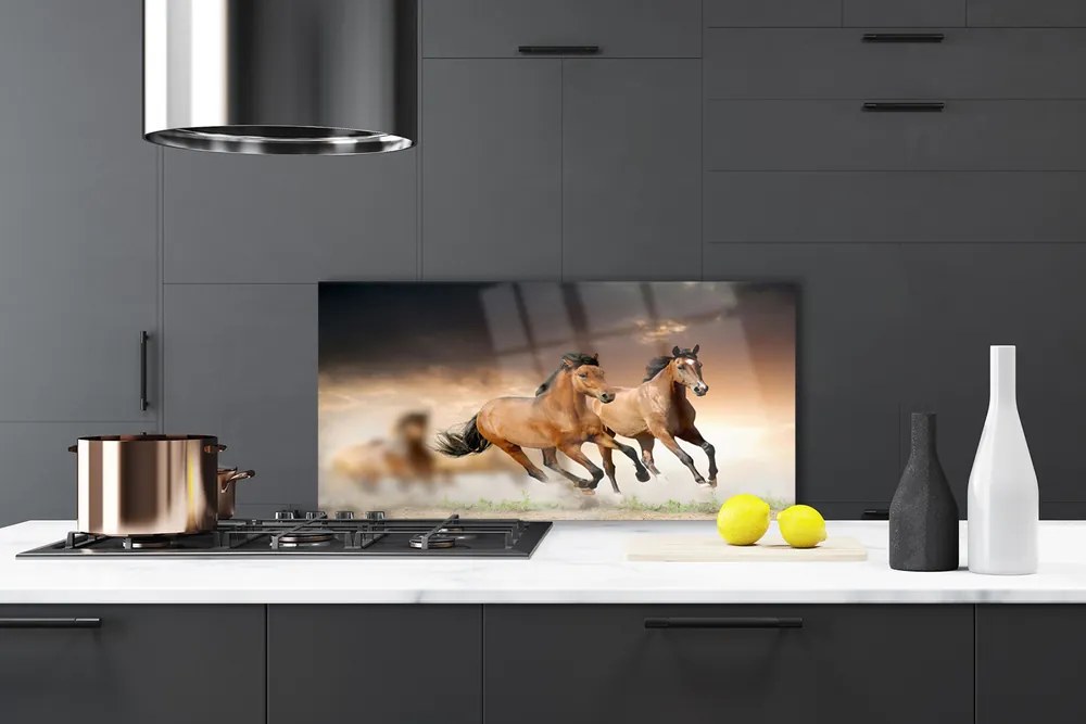 Pannello cucina paraschizzi Animali cavalli 140x70 cm