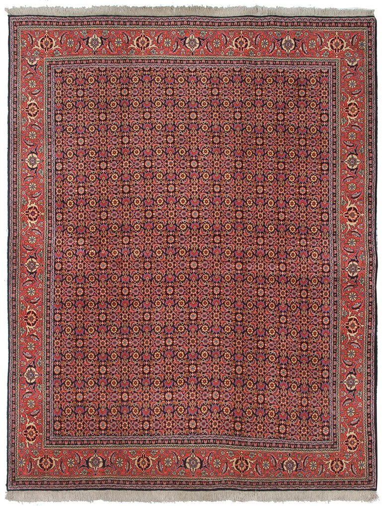 Bidjar Tappeto persiano 260 x 200 (Iran) Annodato A Mano