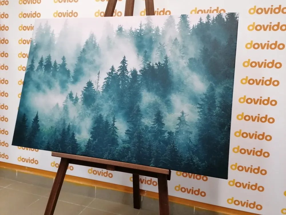 Quadro su tela – Montagne nella nebbia