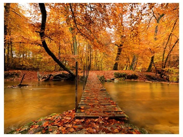 Fotomurale  Ponticello in legno nel bosco  Colore Marrone, Dimensioni e Misure 200x154