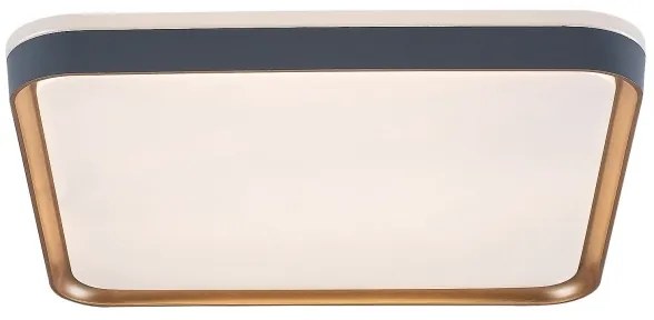 Rabalux 71029 - Plafoniera LED LIATRIS LED/26W/230V 3000K