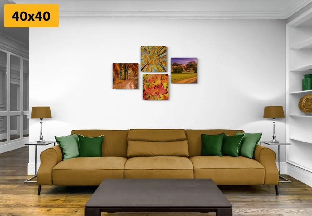 Set di quadri – Natura in colori autunnali