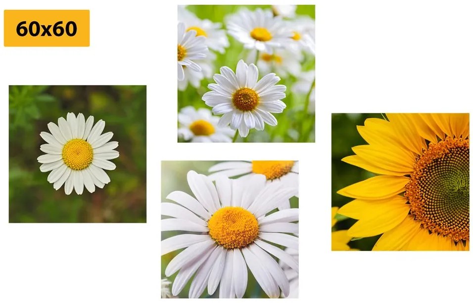 Set di quadri – Fiori di campo