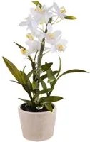 Orchidea Artificiali con Vaso Altezza 43 cm Bianco