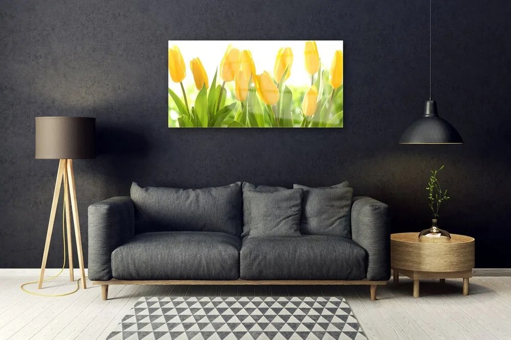 Quadro su vetro acrilico Tulipani, fiori, piante 100x50 cm