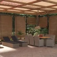 Set da Pranzo da Giardino 11 pz in Polyrattan Marrone 3059472