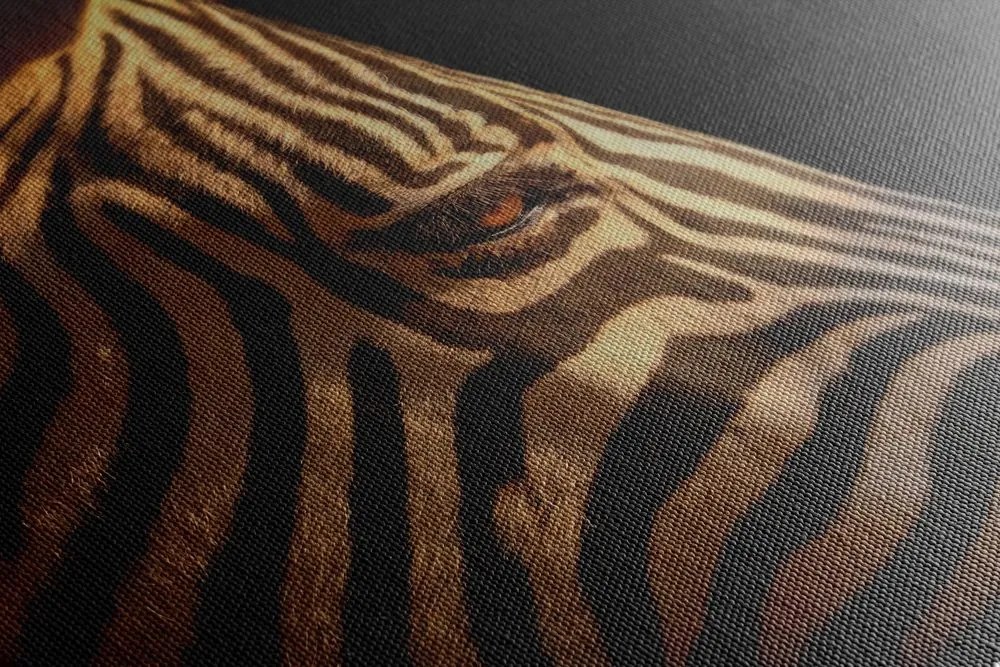 Stampa su tela – Ritratto di zebra