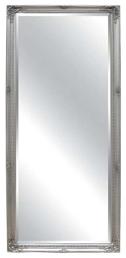Specchio grande con modanature - 80 x 190 cm - Legno di eucalipto Argentato - ELVIRE
