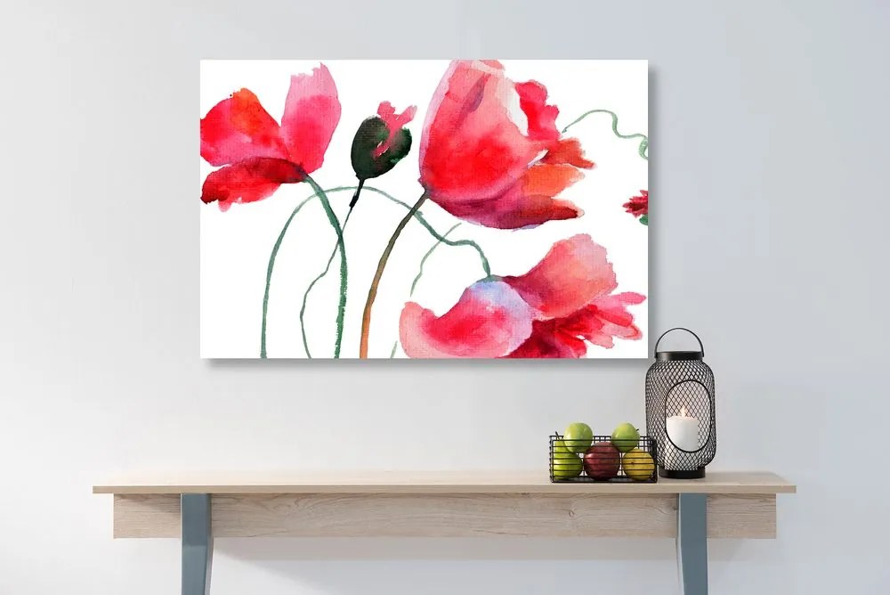 Stampa su tela – Fiori di papavero unici