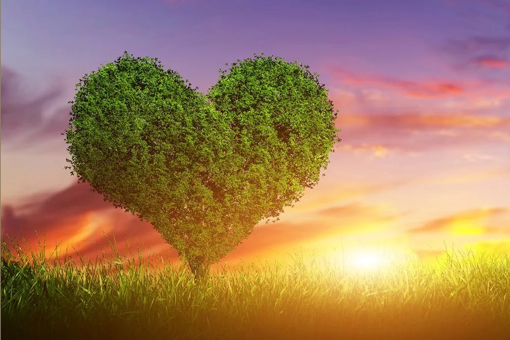Carta da parati – Albero a forma di cuore
