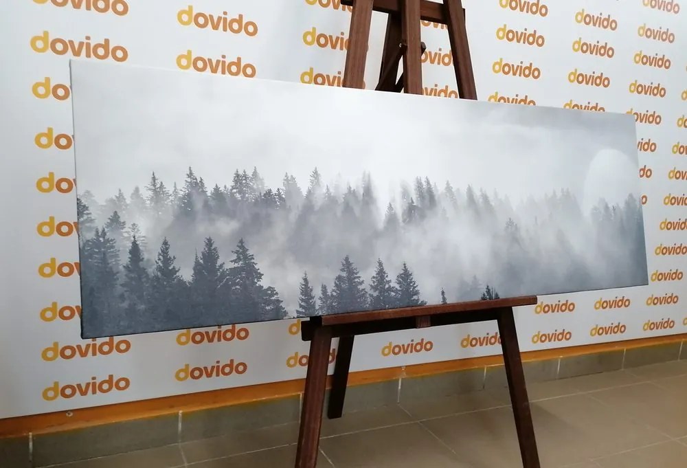 Quadro su tela – Nebbia sopra la foresta in bianco e nero