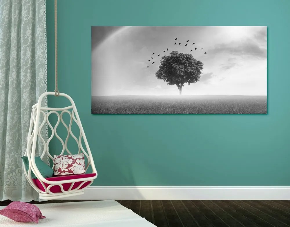 Stampa su tela – Albero solitario nel prato in bianco e nero