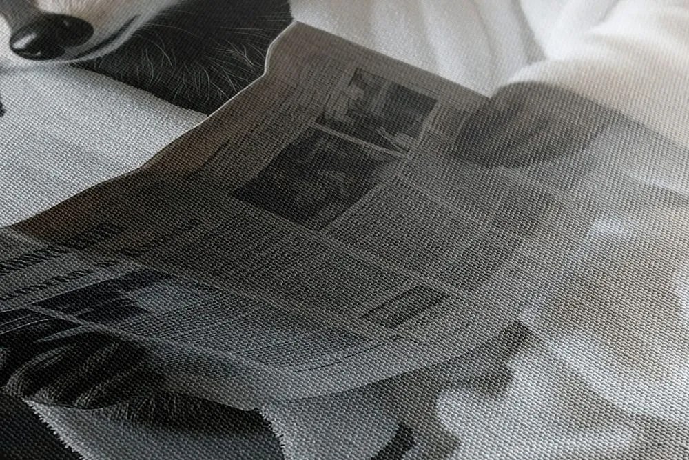 Stampa su tela – Procione con giornale in bagno