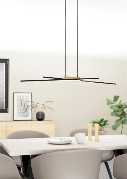 Eglo 900489 - Lampadario a sospensione con filo LED dimmerabile PANAGRIA 2xLED/13W/230V