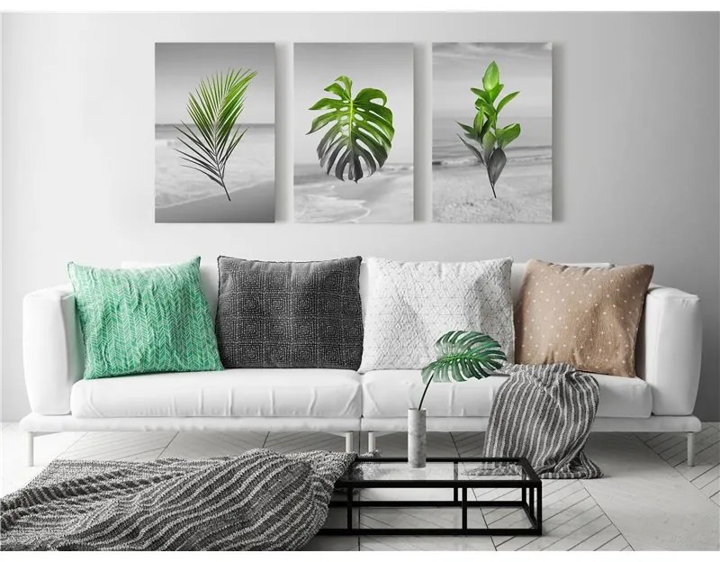 Quadro  Plants (Collection)  Colore Grigio, Dimensioni e Misure 60x30