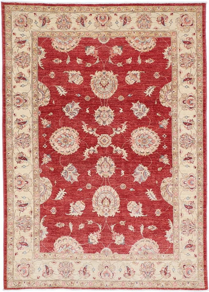 Tappeto orientale 170x240 (Afghanistan) Annodato A Mano