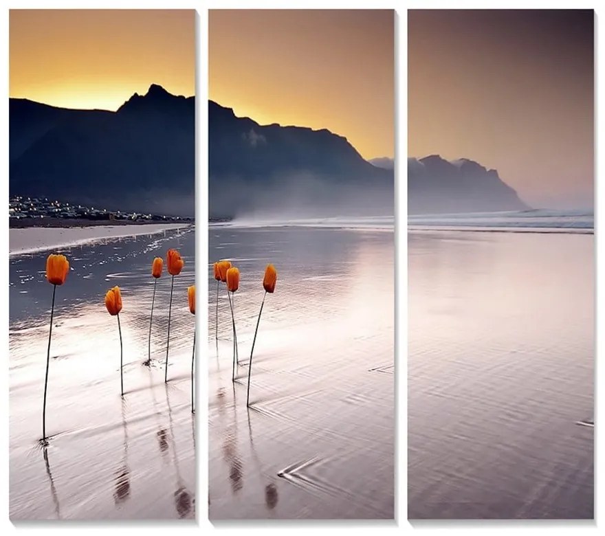 Dipinti in set di 3 pezzi 20x50 cm - Wallity