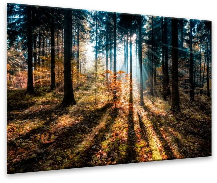 Immagine su tela, 70 x 100 cm Glasspik Autumn Sunset - Styler