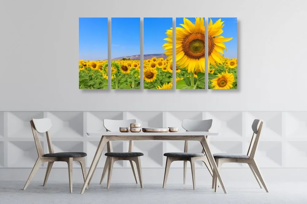 Quadri 5 pezzi – Campo di girasoli