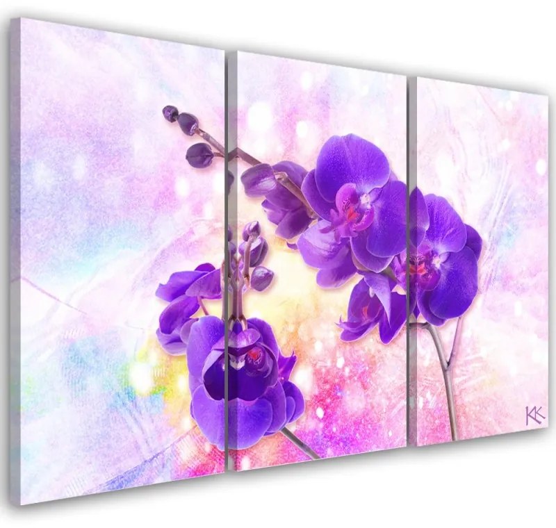 Quadro su tela 3  pannelli, Fiore di orchidea viola  Dimensioni 120x80