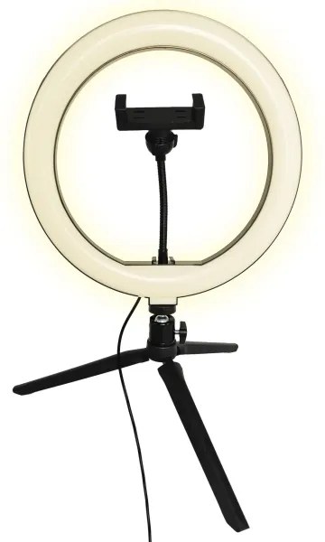 Lampada LED dimmerabile con stativo e supporto per vlog LED/10W/5V 2700-6500K