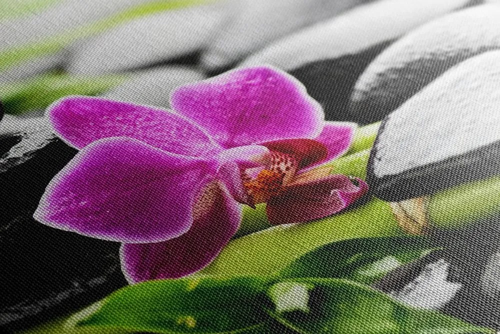 Quadro su tela – Natura morta per il benessere con orchidea viola