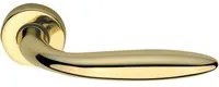 maniglia new soft con rosetta inox brass(oro) 43886