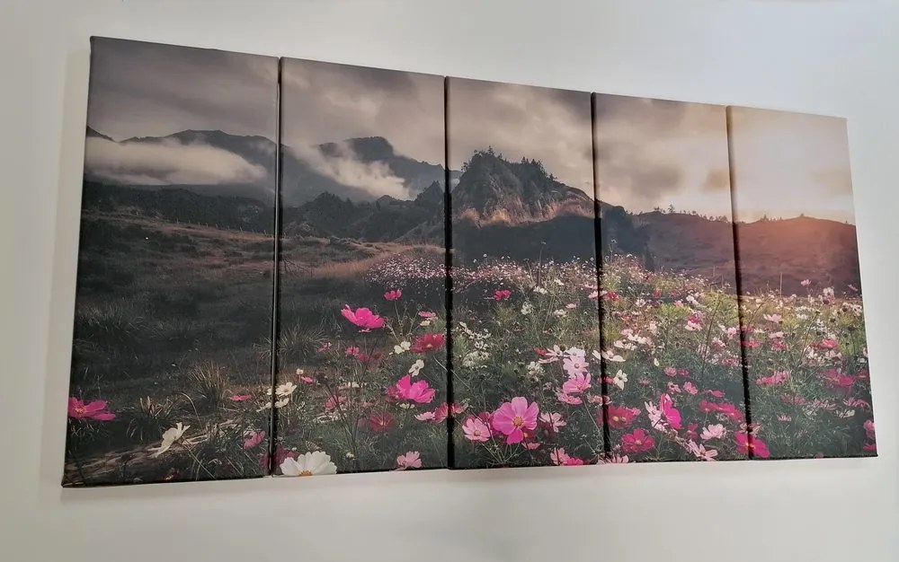 Quadri 5 pezzi – Prato di fiori in fiore