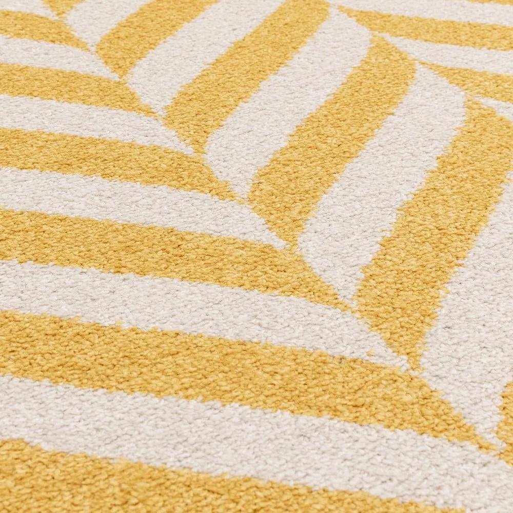 Tappeto giallo 290x200 cm Muse - Asiatic Carpets