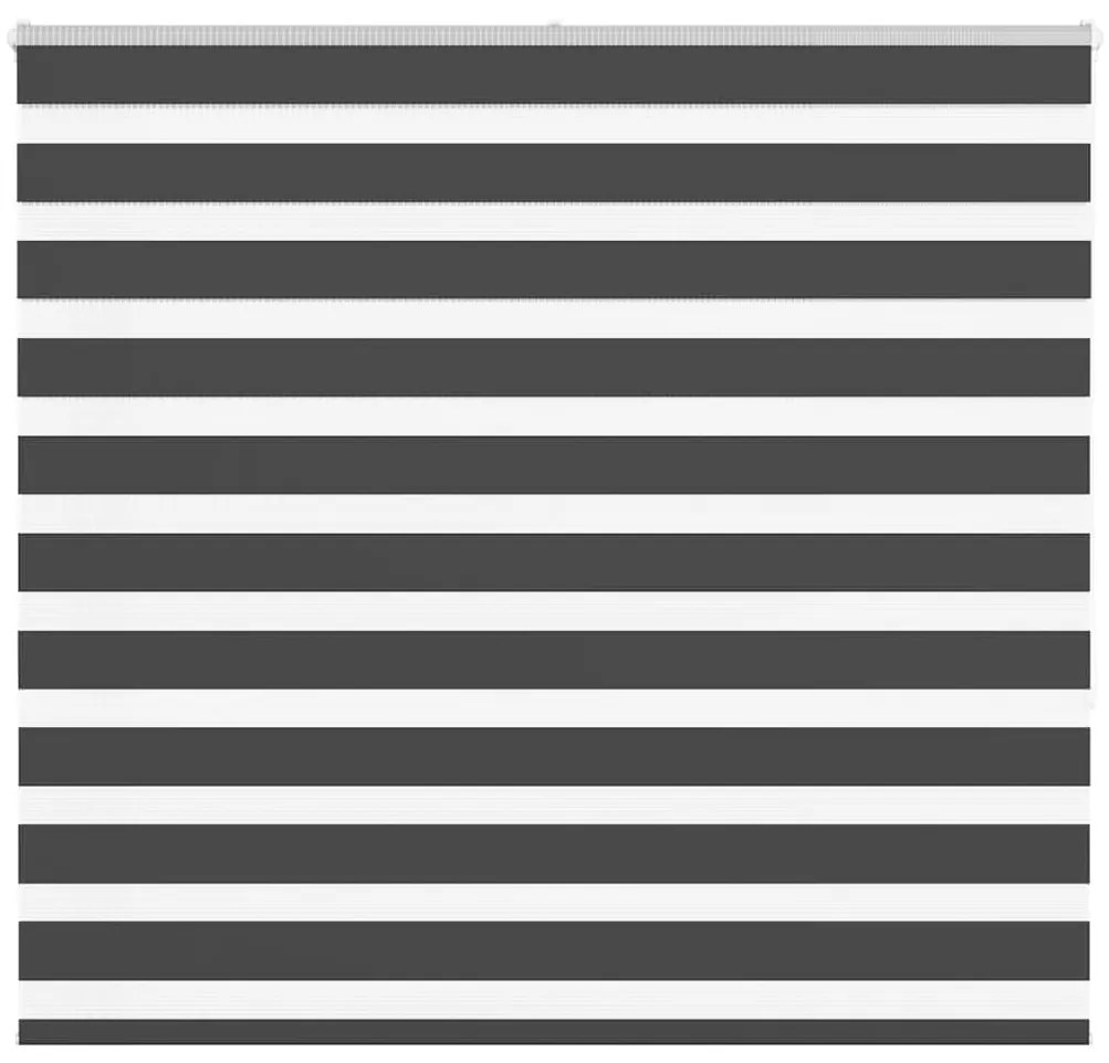 Tenda A Rullo Zebra Nero Larghezza Tessuto 155,9 Cm Poliestere /