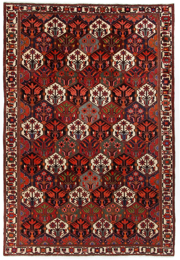 Bakhtiar Tappeto persiano 210x310 (Iran) Annodato A Mano