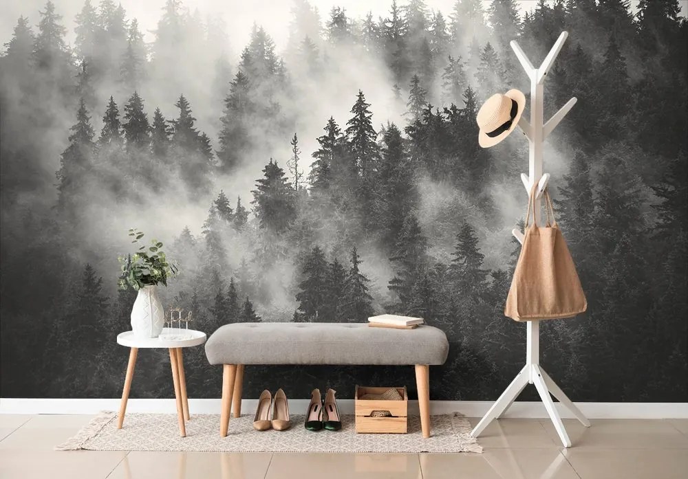 Carta da parati autoadesiva – Foresta nella nebbia in bianco e nero
