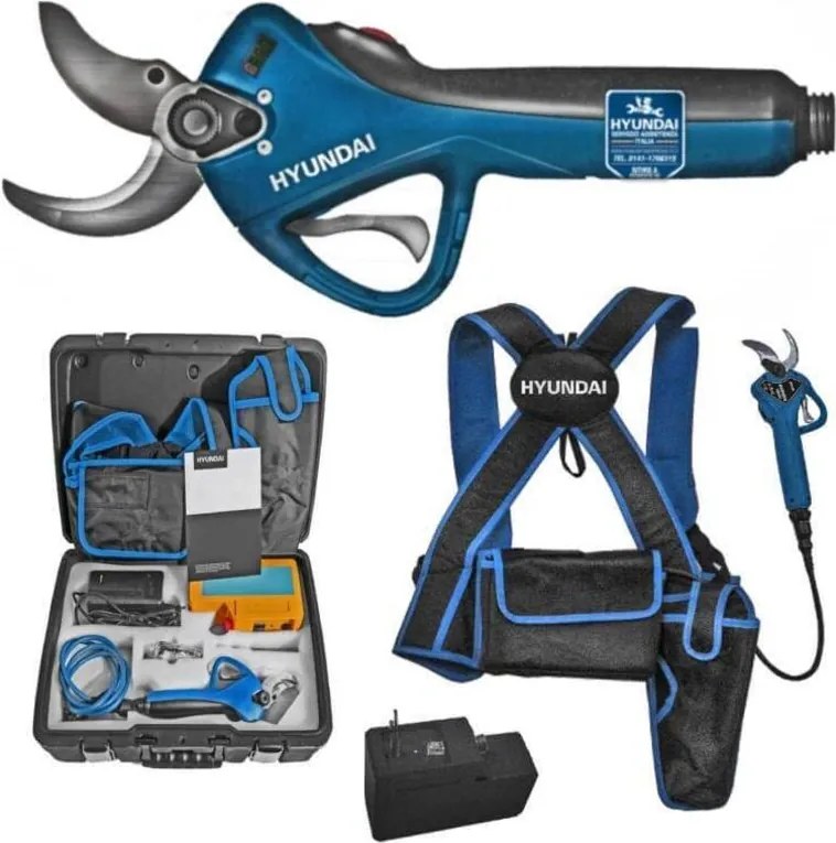 Potatore a batteria Hyundai – 36 V