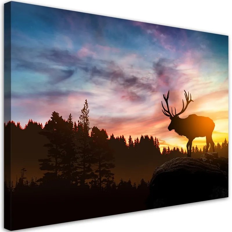 Quadro su tela, Deer al tramonto  Dimensioni 60x40