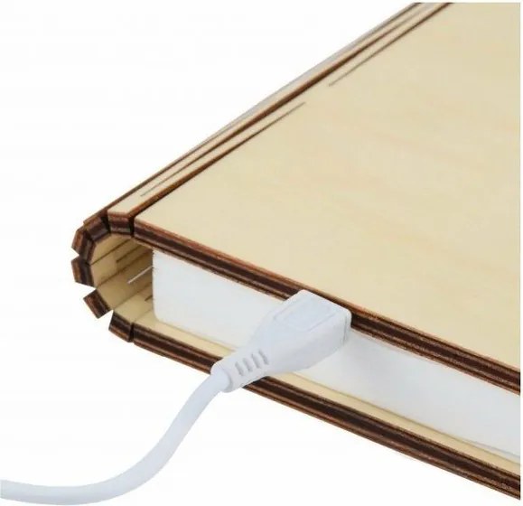 Decorazione luminosa marrone con ricarica USB Booklight – Gingko