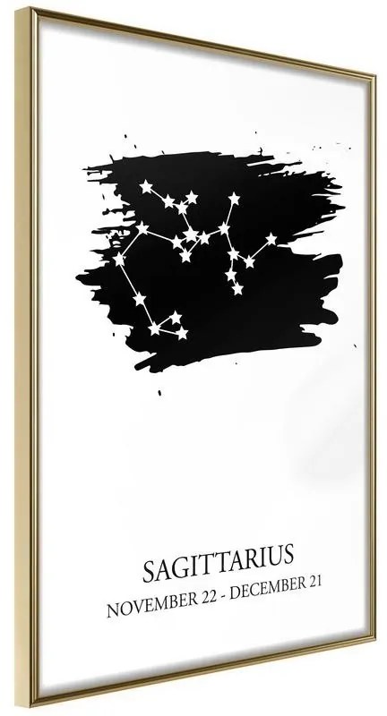 Poster  Zodiac: Sagittarius I  Cornice Quadri Cornice d'oro, Larghezza x Altezza Home decor 40x60