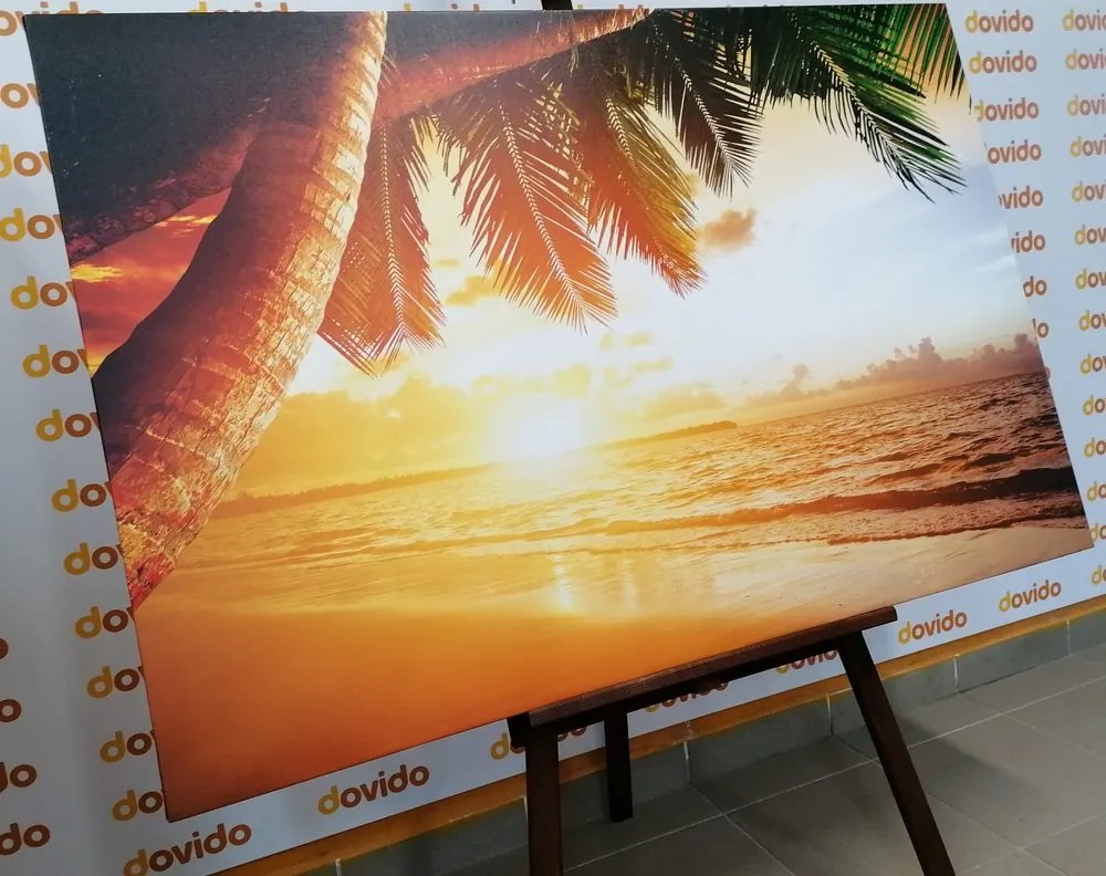 Quadro su tela – Alba sulla spiaggia caraibica