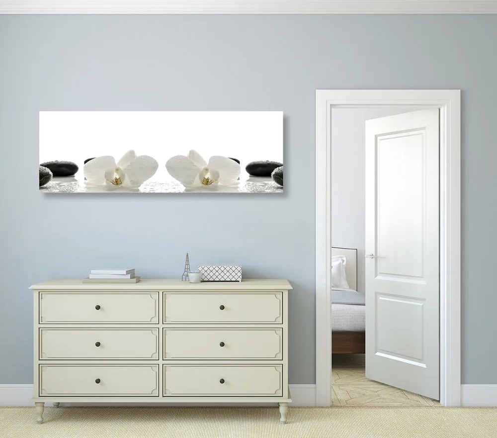 Quadro su tela – Fiori bianchi di orchidea
