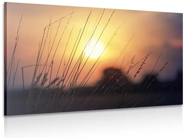 Stampa su tela – Alba sul prato