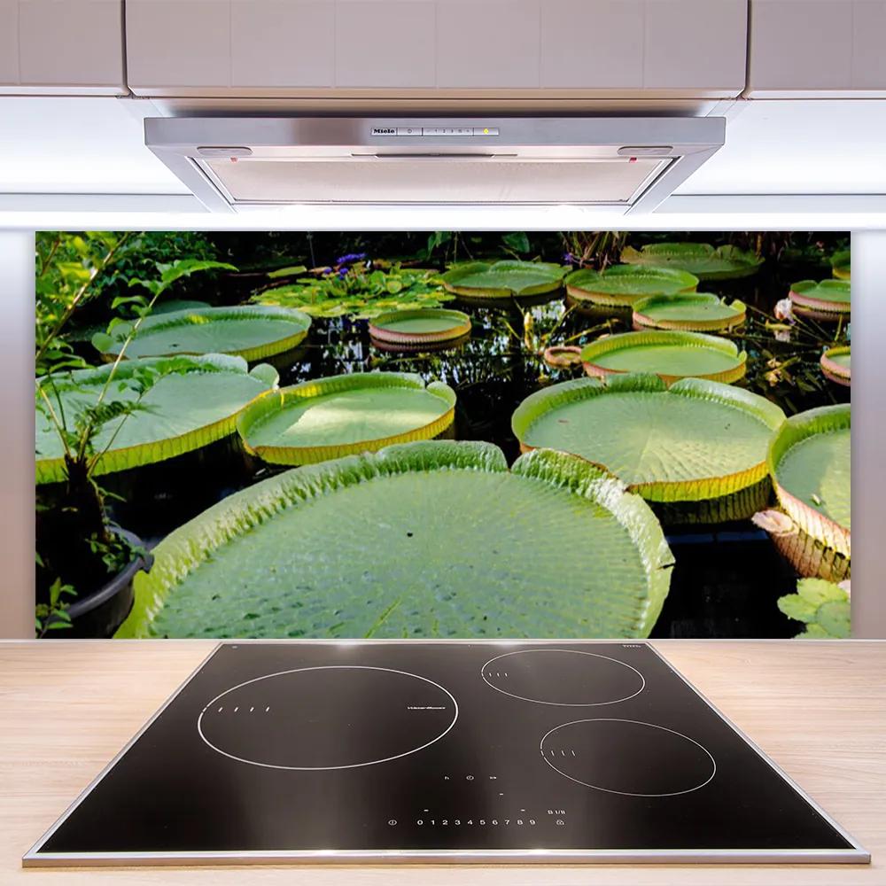 Pannello cucina paraschizzi Foglie del lago della natura 100x50 cm