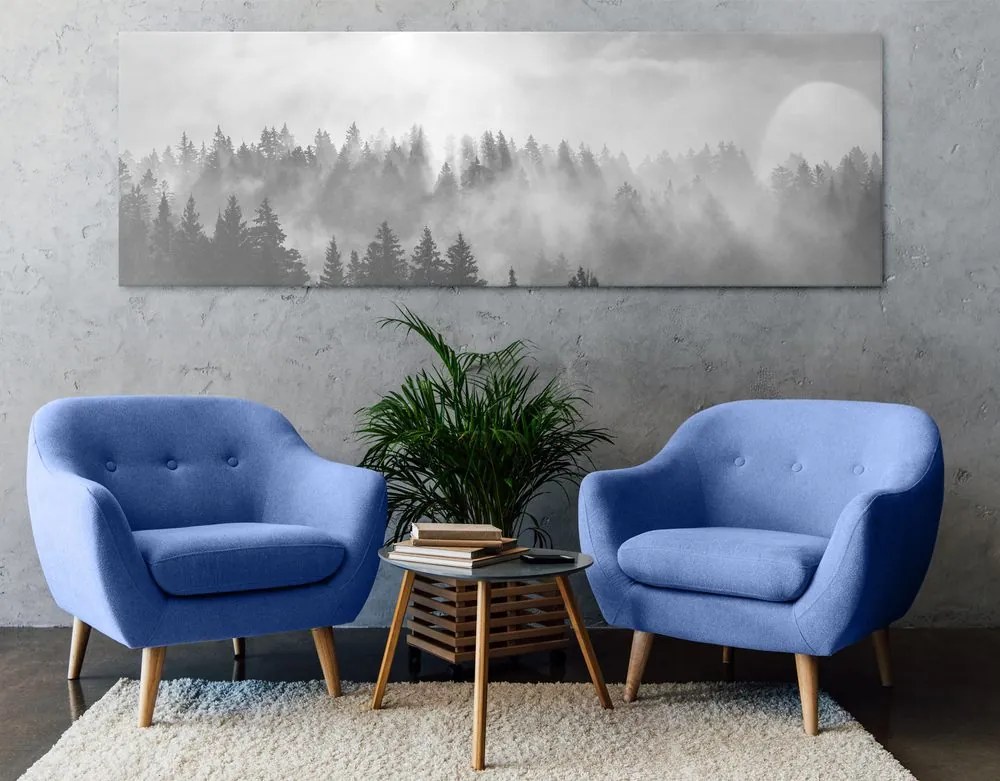 Quadro su tela – Nebbia sopra la foresta in bianco e nero