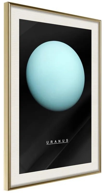 Poster  The Solar System: Uranus  Cornice Quadri Cornice d'oro con passe-partout, Larghezza x Altezza Home decor 20x30