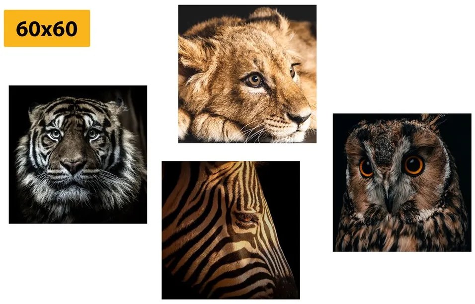 Set di quadri – Animali selvatici