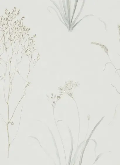 Sanderson Carta da parati Farne Grasses - Silver/ Ivory