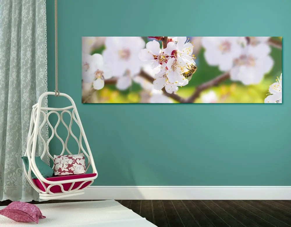 Stampa su tela – Fiori dell'albero in primavera