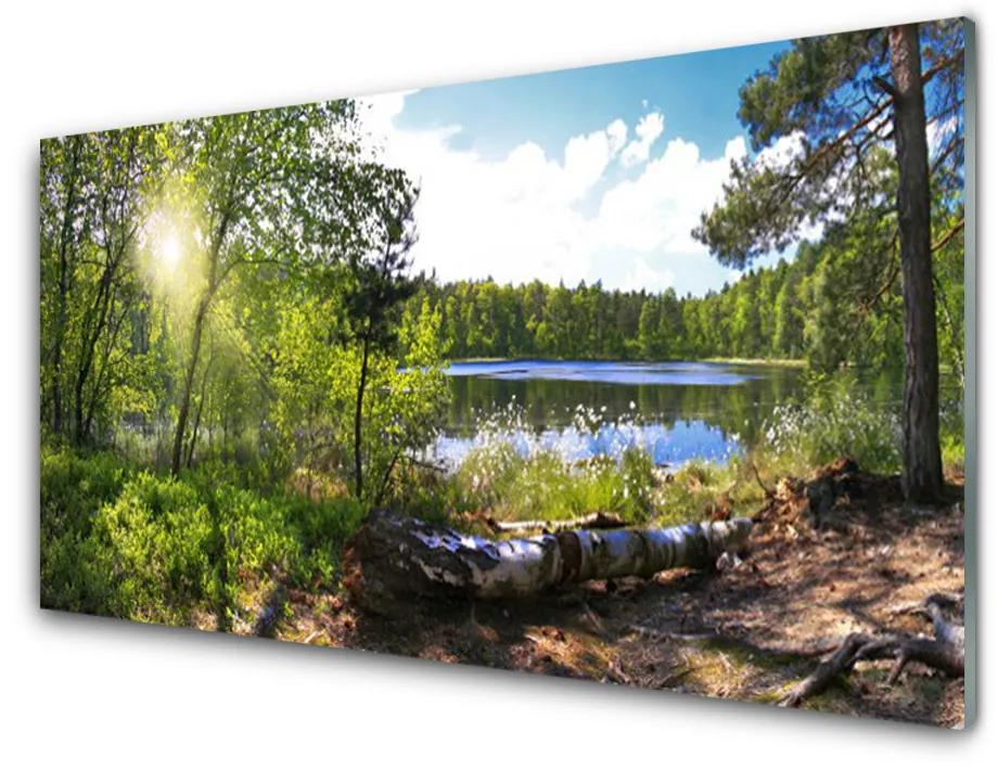 Quadro su vetro acrilico Foresta, alberi, lago, natura 100x50 cm