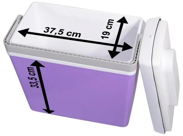 Frigorifero portatile per auto 23 l 55W/12V/230V viola/bianco