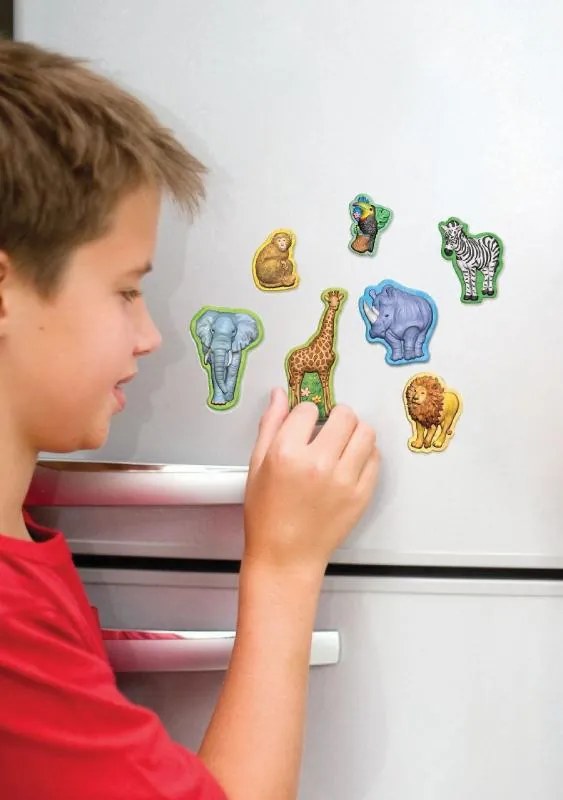 Calchi in gesso - Safari