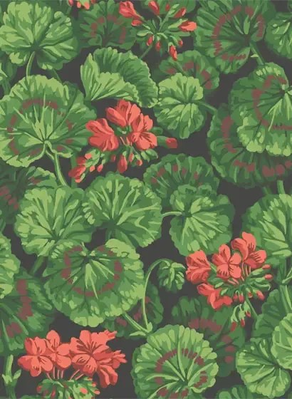 Cole & Son Carta da parati Geranium - Rouge/ Green on Black
